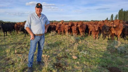Ya vende 30 toros por año: se fue a la Patagonia y comenzó de cero un ambicioso proyecto en un lugar hoy muy pujante Ya vende 30 toros por año: se fue a la Patagonia y comenzó de cero un ambicioso proyecto en un lugar hoy muy pujante imagen-8