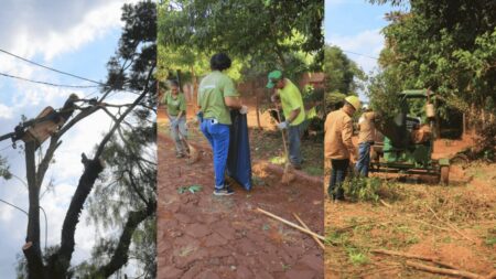 Operativo ambiental integral en Eldorado: trabajos de limpieza, arreglo de calles y mejoras en el barrio Sarmiento imagen-121