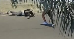 ¿La libertad es también la de morir asesinado por un celular? ¿La libertad es también la de morir asesinado por un celular? imagen-2