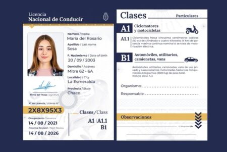 Licencia de conducir: suman un nuevo requisito imagen-5