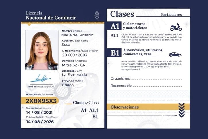 Licencia de conducir: suman un nuevo requisito imagen-97