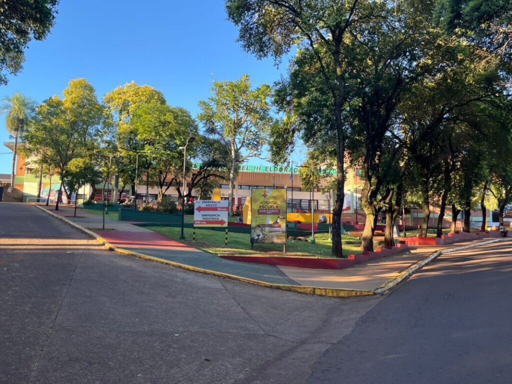 Detuvieron al hombre que agredió a un médico de guardia en el SAMIC de Eldorado imagen-67