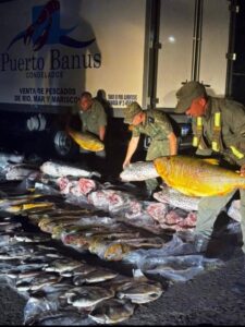 Procedimiento contra la pezca ilegal imagen-4