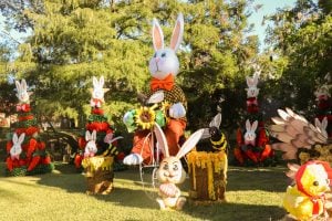 Semana Santa en Alem | Con entrada gratuita y una fuerte apuesta al turismo esperan recibir 60 mil visitantes imagen-7