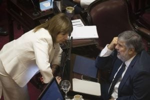 El Senado sesionará este miércoles para acelerar el ingreso de los pliegos de Mahiques y Lucila Crexell imagen-5
