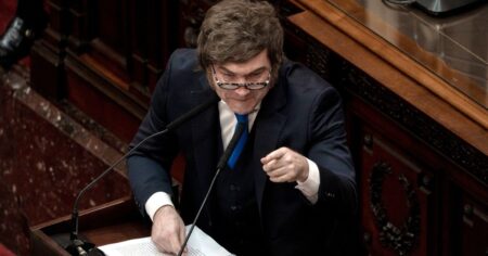 El dardo de Javier Milei contra la AFA tras la liberación de Nahuel Gallo: "¿Por qué no lo trajeron antes?" imagen-14