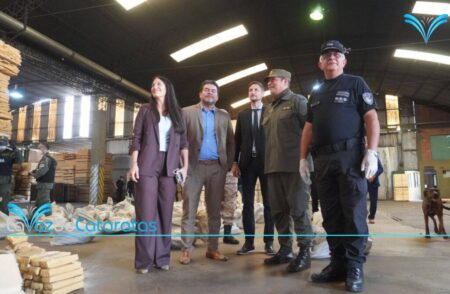 El Juzgado Federal de Iguazú ordenó la destrucción de más de 2 toneladas de droga imagen-67