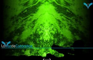 “Caían del cielo” llega a Iguazú con funcion gratuita por el Mes de la Memoria imagen-4