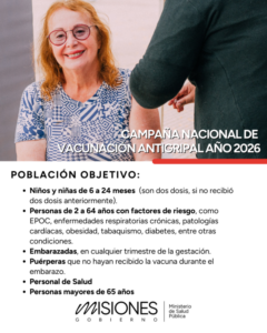 Misiones inicia mañana la Campaña Antigripal 2026 imagen-85