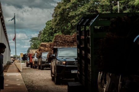 El acopio de tabaco superó los 14 millones de kilos y Misiones lideraría la producción a nivel país imagen-122