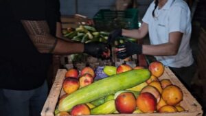 El Mercado Central de Misiones supera los 100.000 kg de alimentos recuperados y planea replicar su exitoso modelo social El Mercado Central de Misiones supera los 100.000 kg de alimentos recuperados y planea replicar su exitoso modelo social imagen-1