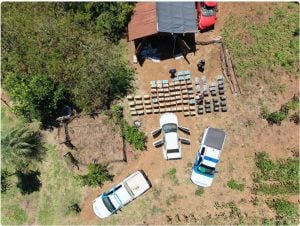 Secuestran más de 44 mil atados de cigarrillos sin aval aduanero en Alba Posse Secuestran más de 44 mil atados de cigarrillos sin aval aduanero en Alba Posse imagen-6