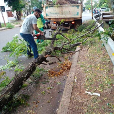 Tras los fuertes vientos que provocaron caída de ramas y árboles, en alerta ante imprevistos meteorológicos imagen-7