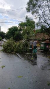 El municipio realiza trabajos ante los inconvenientes ocasionados por el mal clima imagen-1