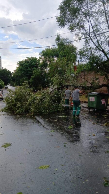 El municipio realiza trabajos ante los inconvenientes ocasionados por el mal clima imagen-5