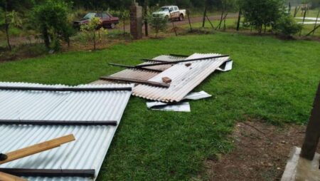 Ráfagas de viento provocaron caída de árboles, cables y daños materiales en Posadas imagen-12