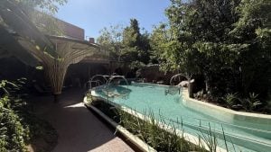 Dormir en casas sobre los árboles: Iguazú suma un exclusivo hotel boutique en plena selva misionera imagen-7