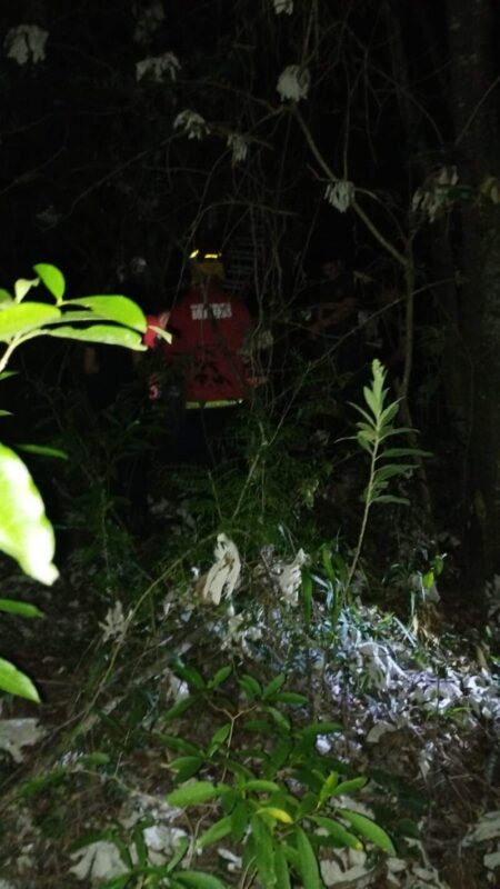 Dramático operativo policial en Posadas: evitaron que un hombre subido a un árbol atentara contra su vida imagen-10