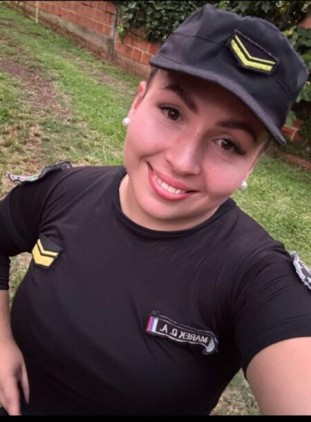 Dramático rescate de un oso melero atropellado en la Ruta Nacional 12 imagen-12