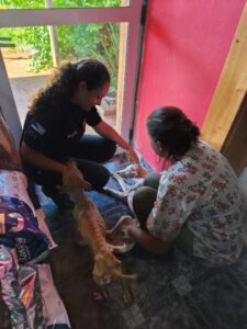 La denuncia de una proteccionista permitió que la Policía rescatara e iniciara una causa por crueldad animal en Santo Pipó imagen-1