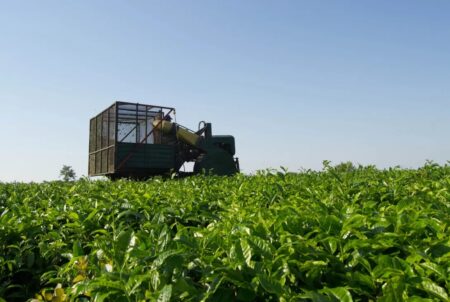 Desregulación del Inym: advierten que el 70% de la economía de Andresito está en riesgo imagen-6