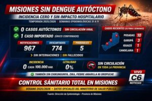 Control sanitario total: Misiones pasó el verano sin dengue autóctono ni impacto hospitalario Control sanitario total: Misiones pasó el verano sin dengue autóctono ni impacto hospitalario imagen-1