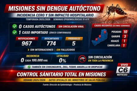 Control sanitario total: Misiones pasó el verano sin dengue autóctono ni impacto hospitalario Control sanitario total: Misiones pasó el verano sin dengue autóctono ni impacto hospitalario imagen-6
