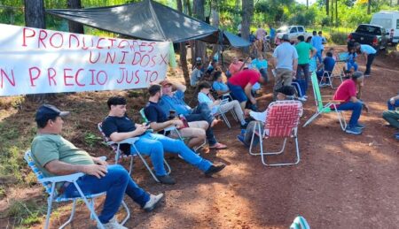 Yerbateros acordaron no vender el kilo de hoja verde por menos de $500 imagen-6