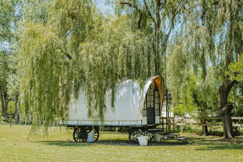 Fin de semana XXL: 5 glampings en estancias para desconectarse cerca de Buenos Aires imagen-100