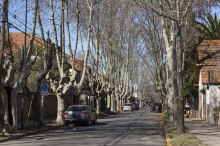 Precio de los departamentos: un informe reveló qué pasó con las propiedades en zona norte imagen-14