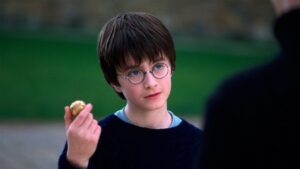 Joel Hengstler, abogado, desglosa los delitos contra Harry Potter: "Agresión, violencia, detención ilegal" imagen-117