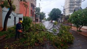 El municipio realiza trabajos ante los inconvenientes ocasionados por el temporal imagen-1