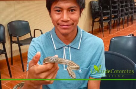 Capacitación para convivir con la fauna y proteger la biodiversidad imagen-67