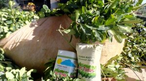 “Sostenerlo cada vez cuesta más”: la Cooperativa Las Tunas mantiene en $380 el kilo de hoja verde en un escenario complejo imagen-7