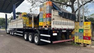 Triple Frontera | La Policía Federal de brasil volvió a incautar medicamentos para adelgazar contrabandeados desde Paraguay imagen-8