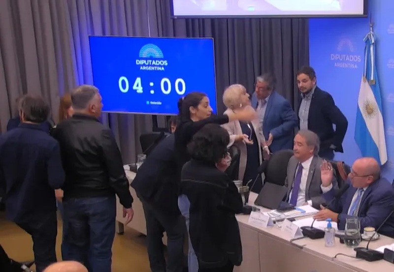 Ley de Glaciares: audiencia pública con cruces y denuncias de censura Ley de Glaciares: audiencia pública con cruces y denuncias de censura imagen-5