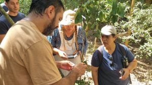 Recorrer el monte para aprender: salidas en Misiones invitan a descubrir el mundo de los hongos Recorrer el monte para aprender: salidas en Misiones invitan a descubrir el mundo de los hongos imagen-5