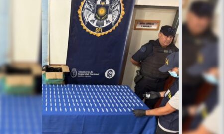 Incautan 300 ampollas de fentanilo en un monte de Puerto Esperanza imagen-11