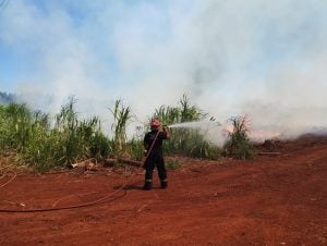 Bomberos sofocaron incendio de malezas en una zona rural de Capioví imagen-8