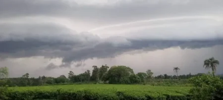 Alerta por tormentas en Misiones: fuerte actividad eléctrica al norte de la provincia imagen-12