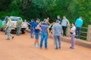 Ecología investiga la aparición de restos de un yacaré en 25 de Mayo imagen-2