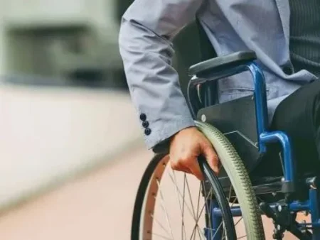 Atraso en el pago desde la Nación pone en riesgo continuidad de prestaciones a personas con discapacidad imagen-7