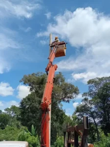 Refuerzan mantenimiento en líneas rurales de El Soberbio imagen-2