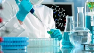 De residuo a riqueza: la ingeniera misionera que transforma el salvado de arroz en Vitamina E De residuo a riqueza: la ingeniera misionera que transforma el salvado de arroz en Vitamina E imagen-1