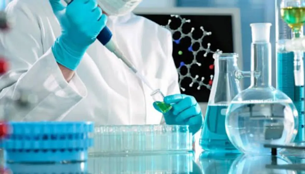 De residuo a riqueza: la ingeniera misionera que transforma el salvado de arroz en Vitamina E De residuo a riqueza: la ingeniera misionera que transforma el salvado de arroz en Vitamina E imagen-5