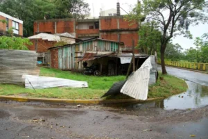 Trabajan para reponer la infraestructura eléctrica imagen-2