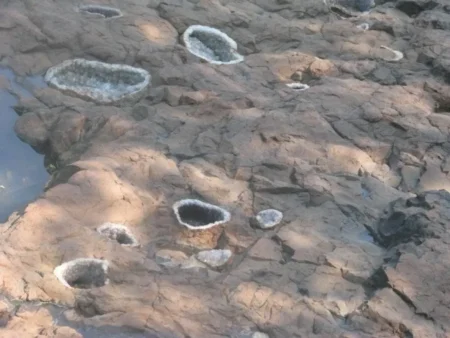 Wanda se prepara con una propuesta variada para Semana Santa Wanda se prepara con una propuesta variada para Semana Santa imagen-7