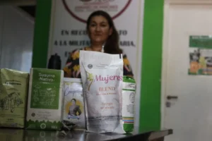 Productores yerbateros impulsan estrategias para fortalecer ventas y abrir nuevos mercados imagen-2