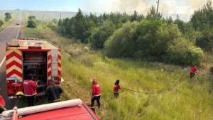 Bomberos combaten un incendio de gran magnitud en el acceso a Misiones imagen-2