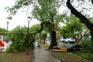 Tormenta en Posadas: cayeron casi 34 mm con ráfagas de hasta 35 km/h y el municipio desplegó operativos imagen-2